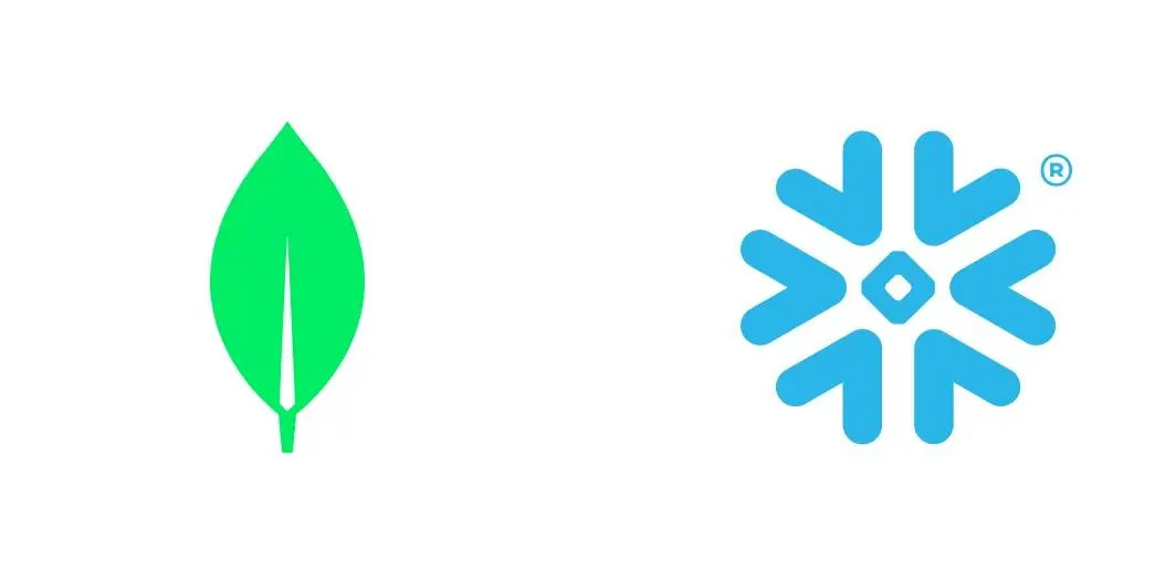snow-flake-mongo-db